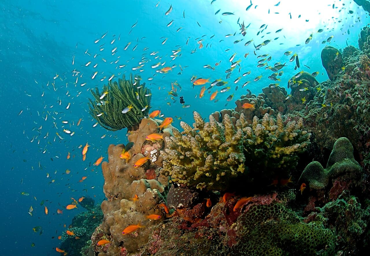 Andaman & Nicobar Islands, Andaman & Nicobar Islands