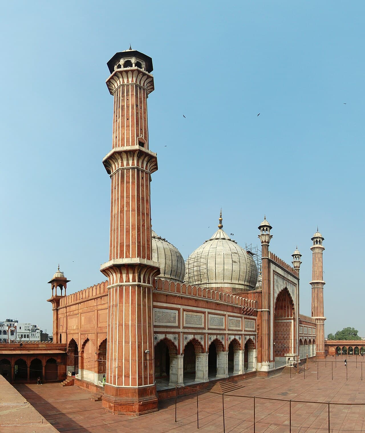 Delhi, Delhi