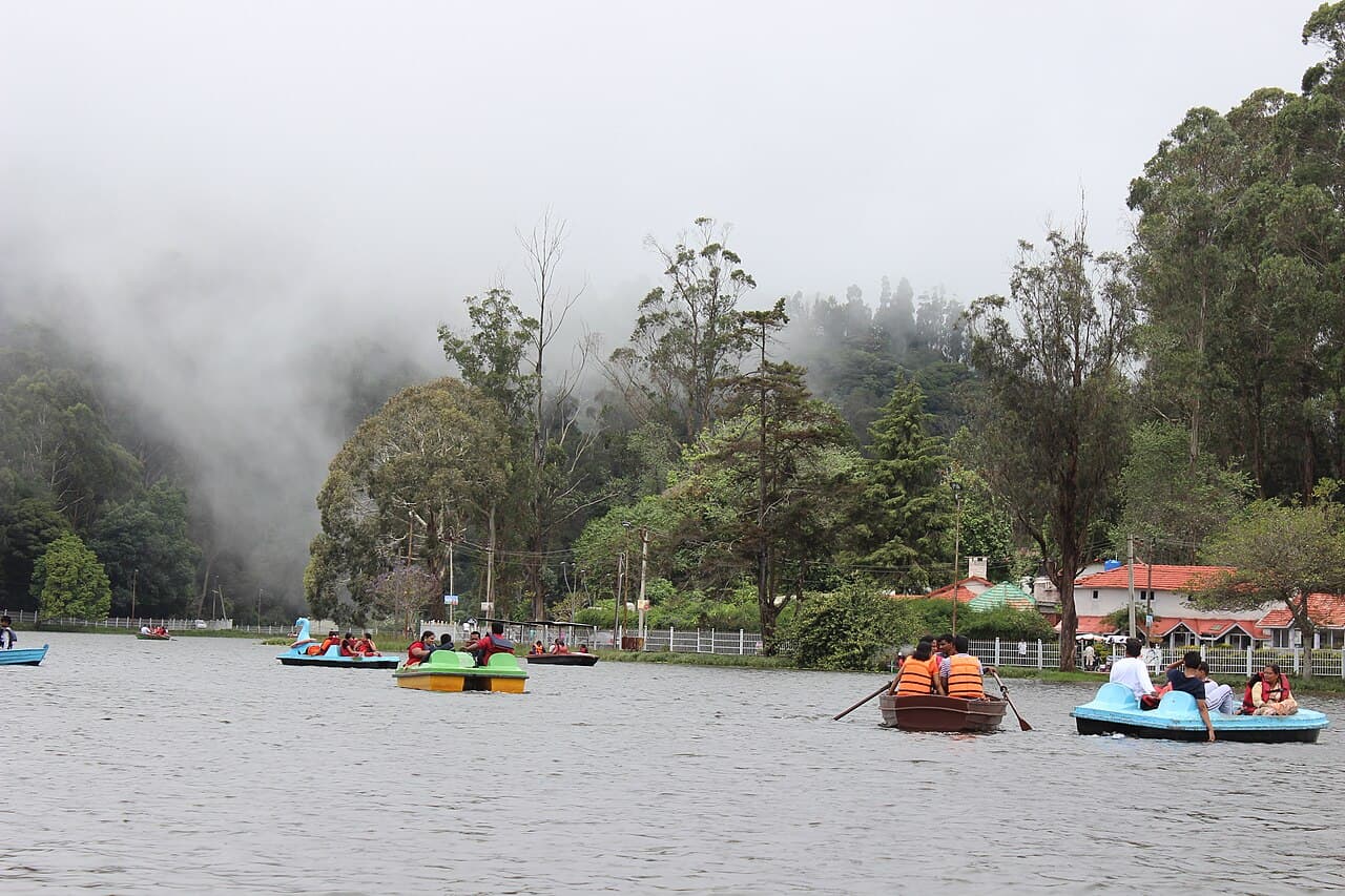 Kodaikanal · A considered journey through Kodaikanal