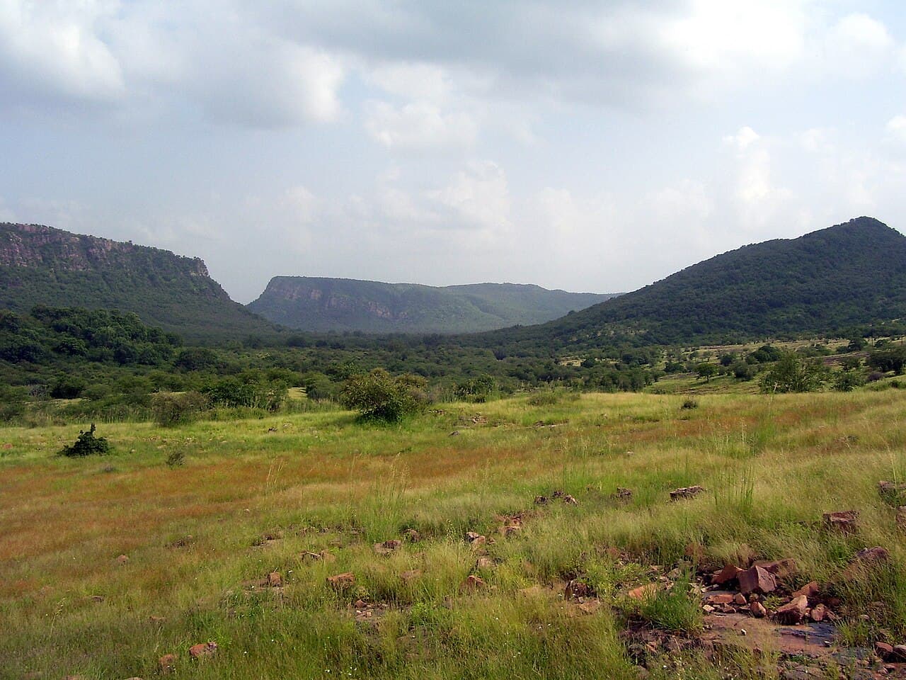 Ranthambore · A considered journey through Ranthambore