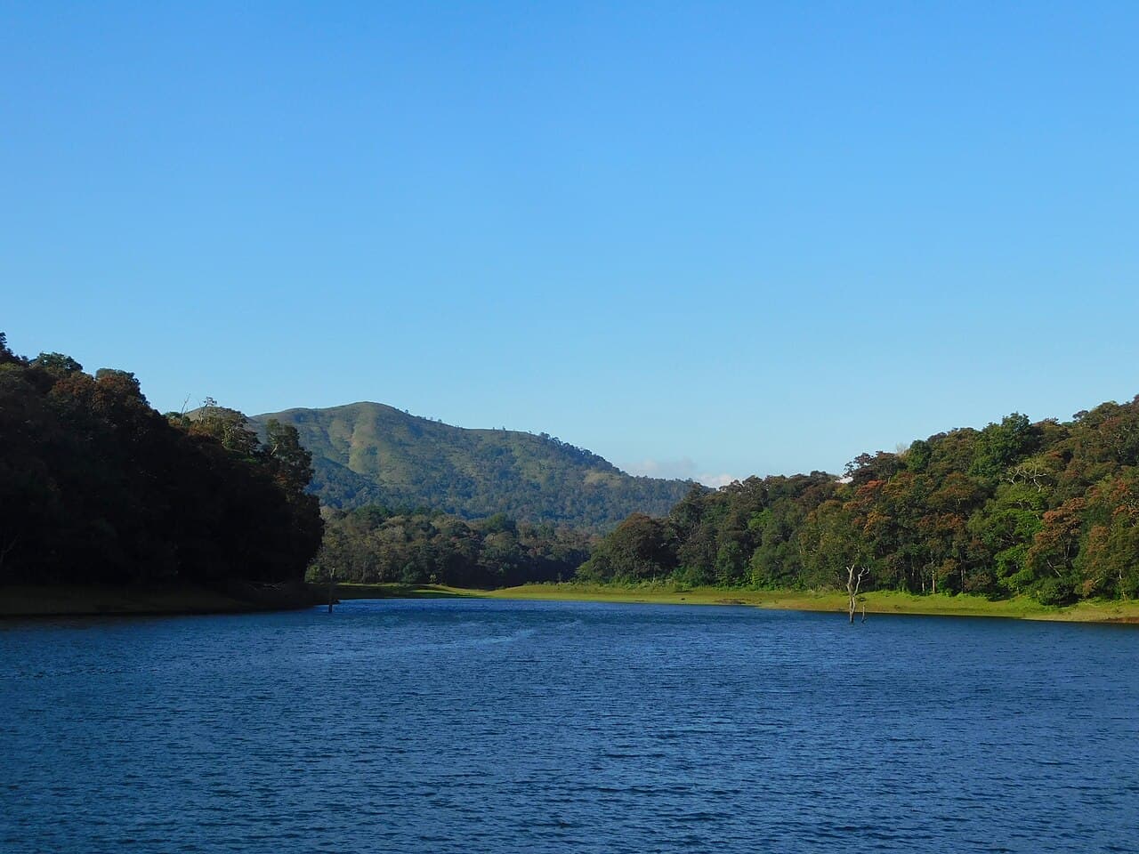 Thekkady · A considered journey through Thekkady