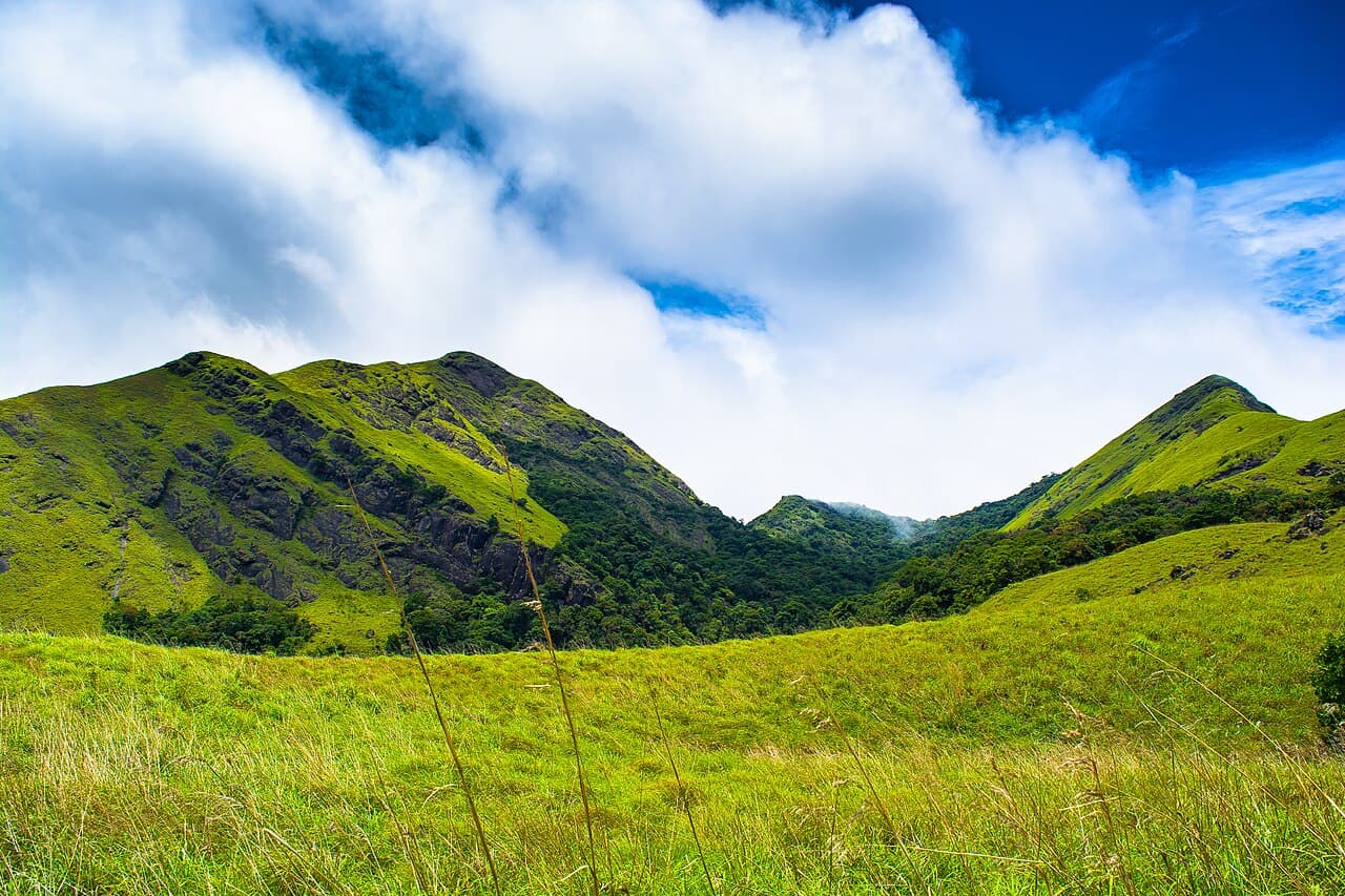 Wayanad · A considered journey through Wayanad
