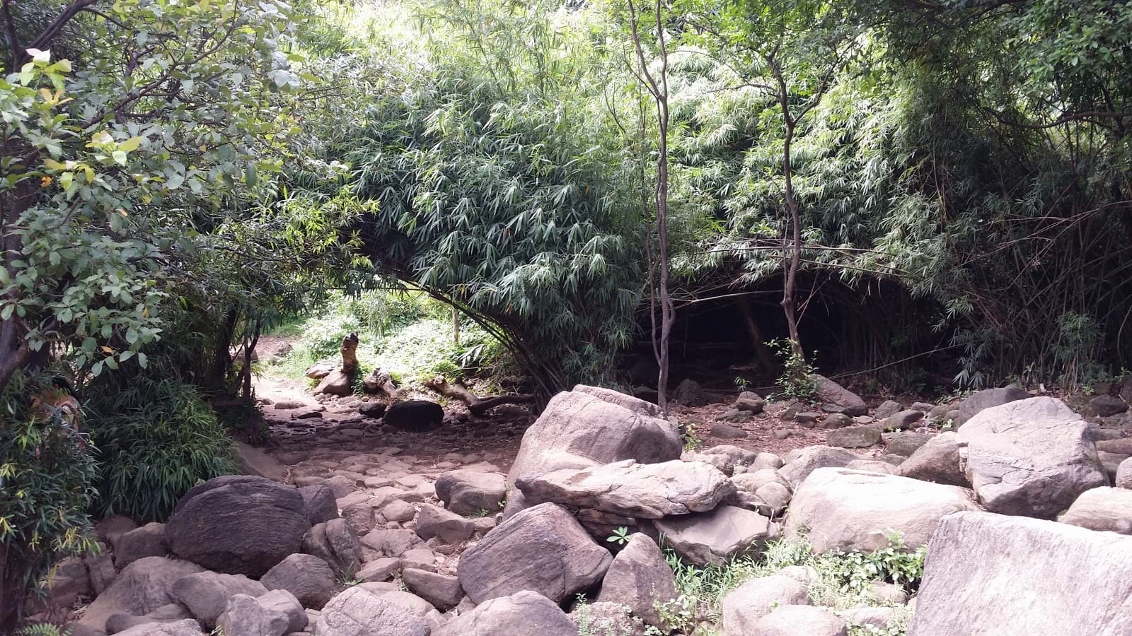 Kochi & Athirapally Tour · 3-Day Journey