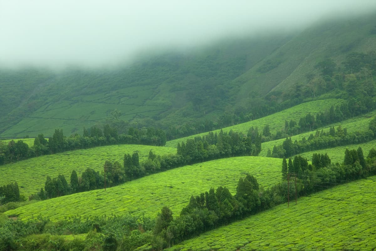 Meghamalai Leisure Tour · 2-Day Journey