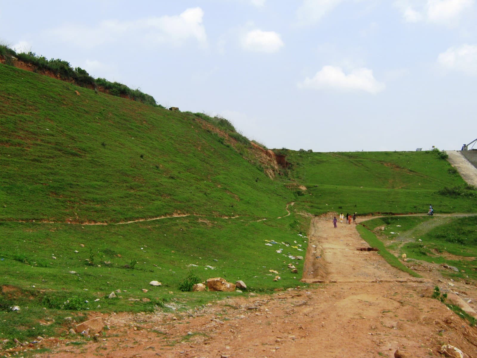 Wayanad & Iruppu Falls · 3-Day Journey