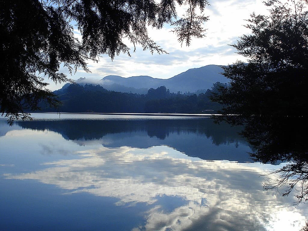 Kerala Honeymoon Tour · 5-Day Journey