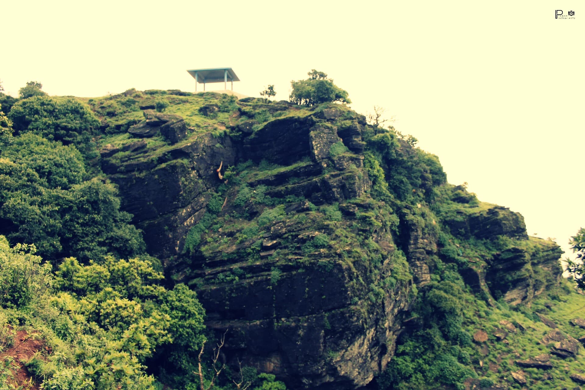 Coorg - Chikmagalur - Udupi - Mangalore · 6-Day Journey
