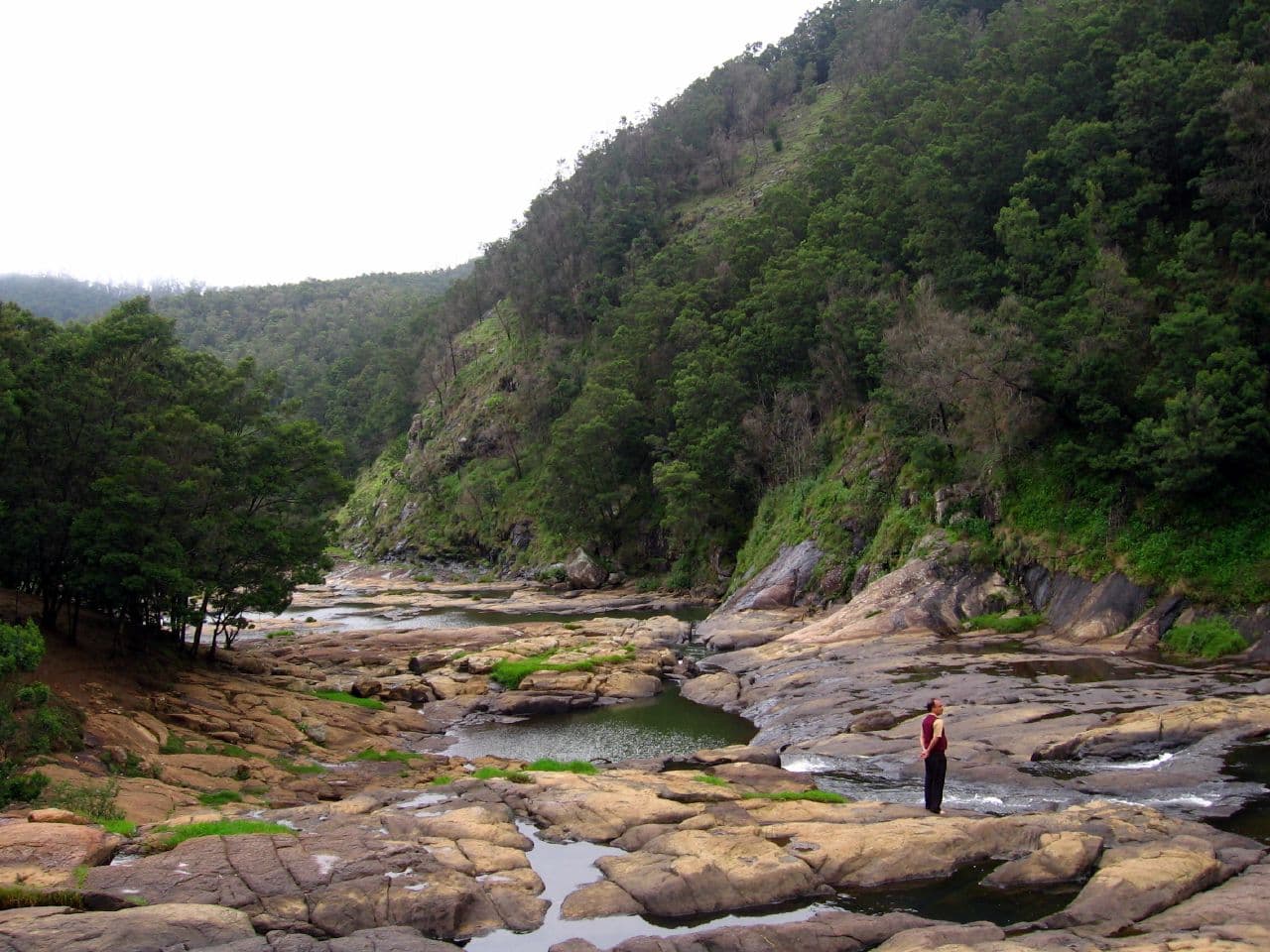 Ooty - Wayanad - Mysore · 6-Day Journey