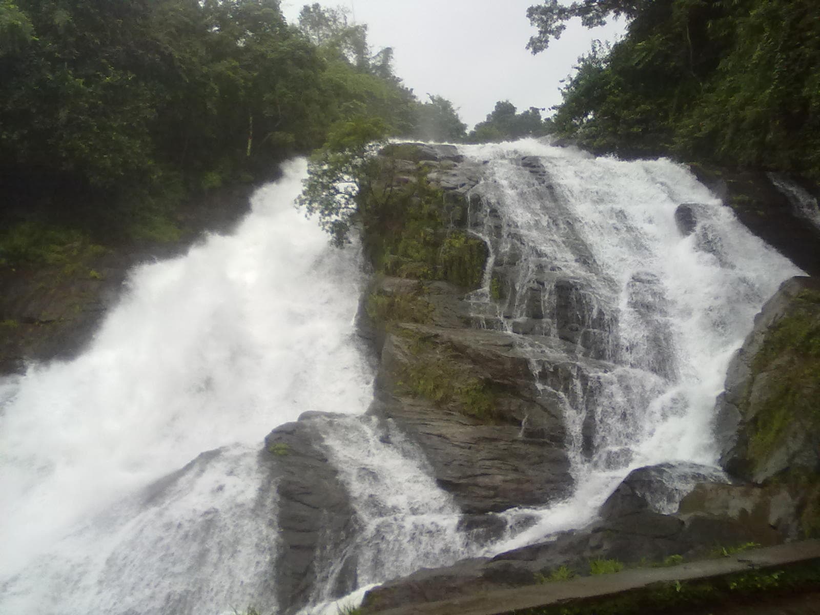 Athirapally - Munnar - Thekkady - Vagamon - Alleppey · 7-Day Journey