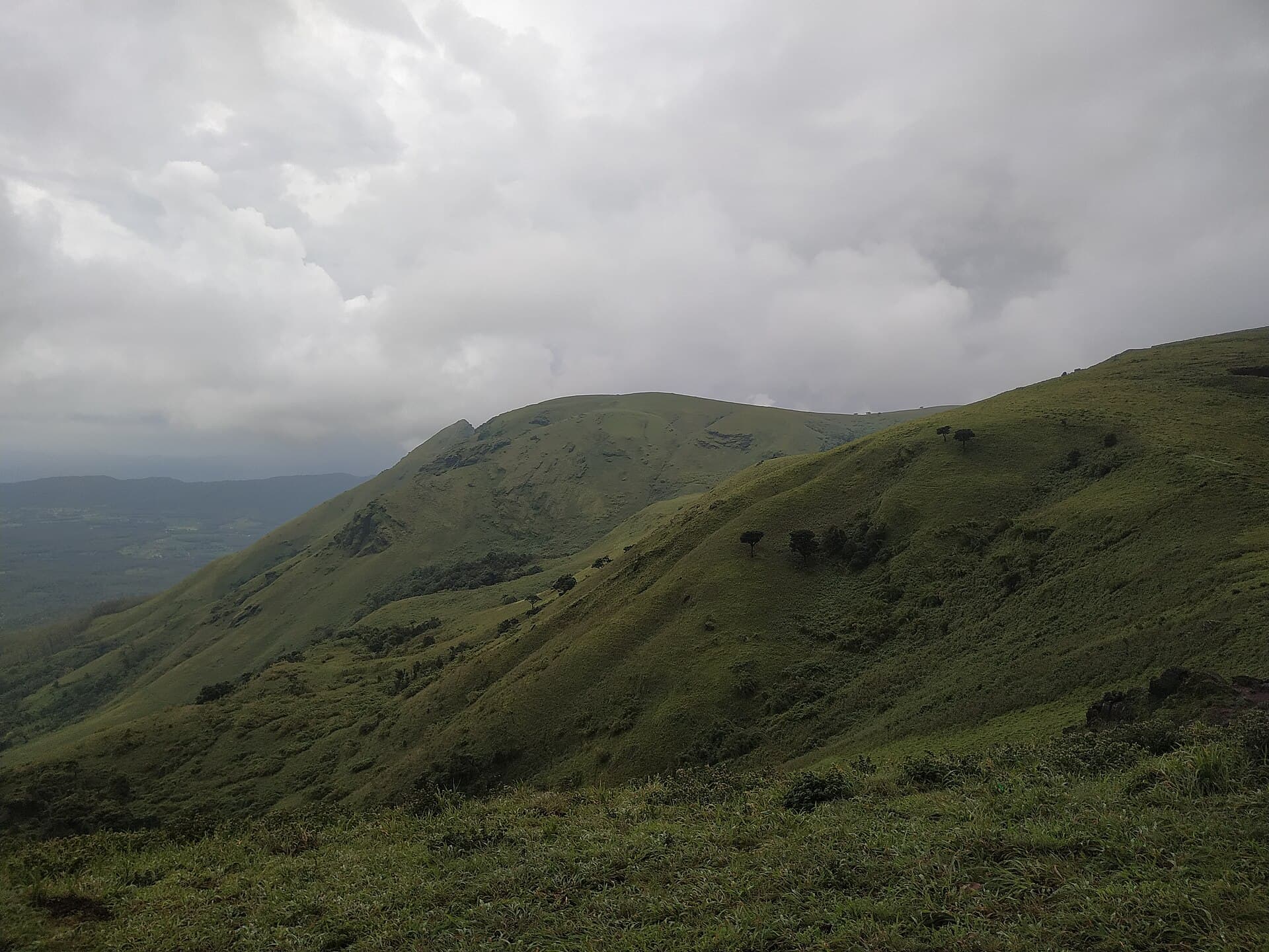Mysore - Nagarhole - Coorg - Chikmagalur · 6-Day Journey