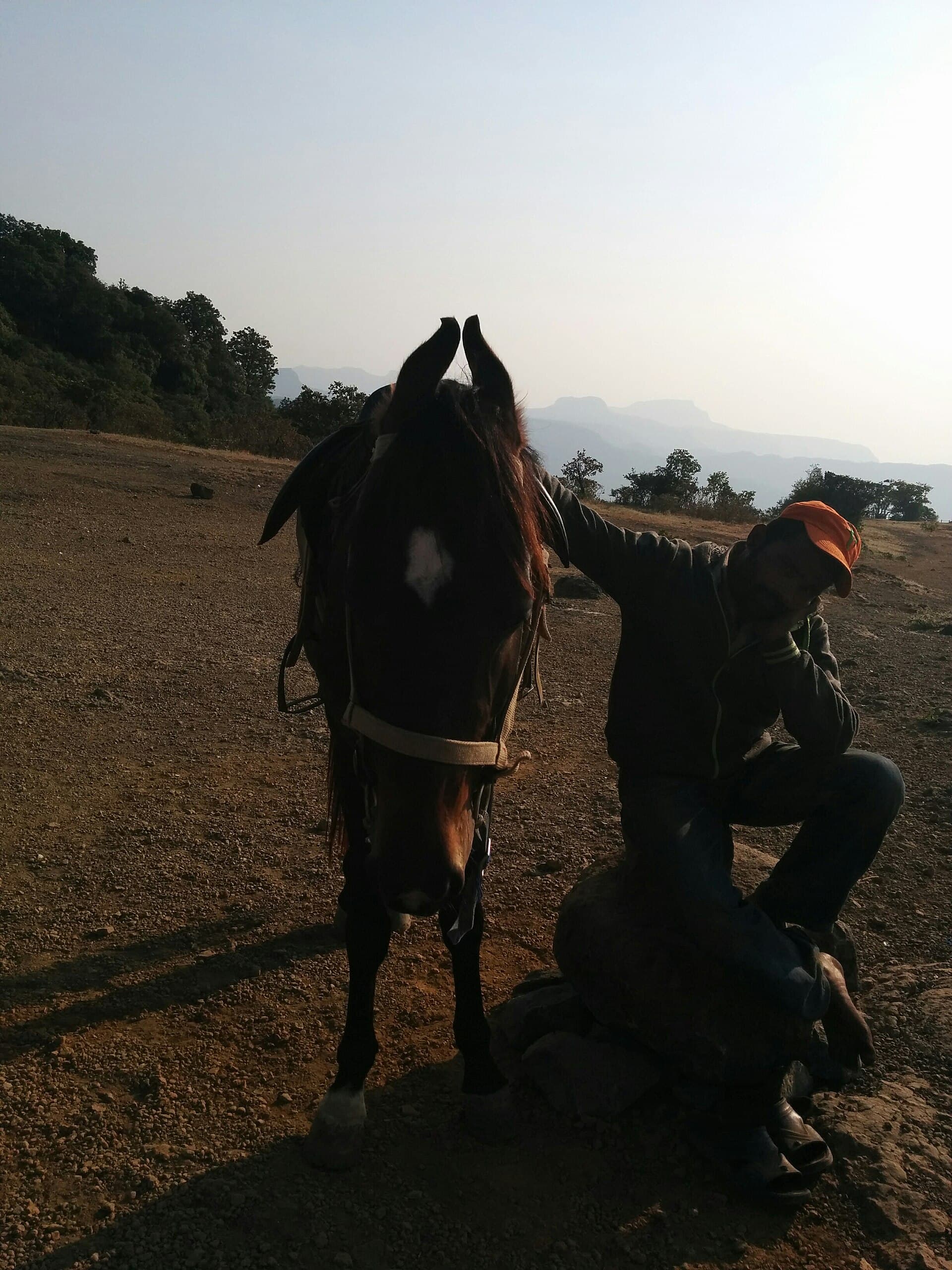 Lonavala - Bhimashankar - Nashik - Shirdi - Ajanta - Ellora · 7-Day Journey