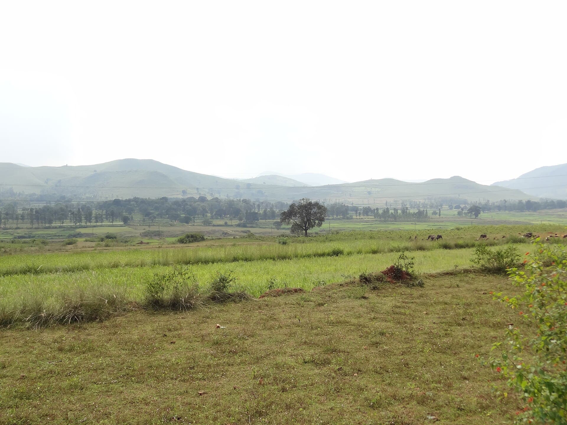 Araku & Vizag With Annavaram · 5-Day Journey