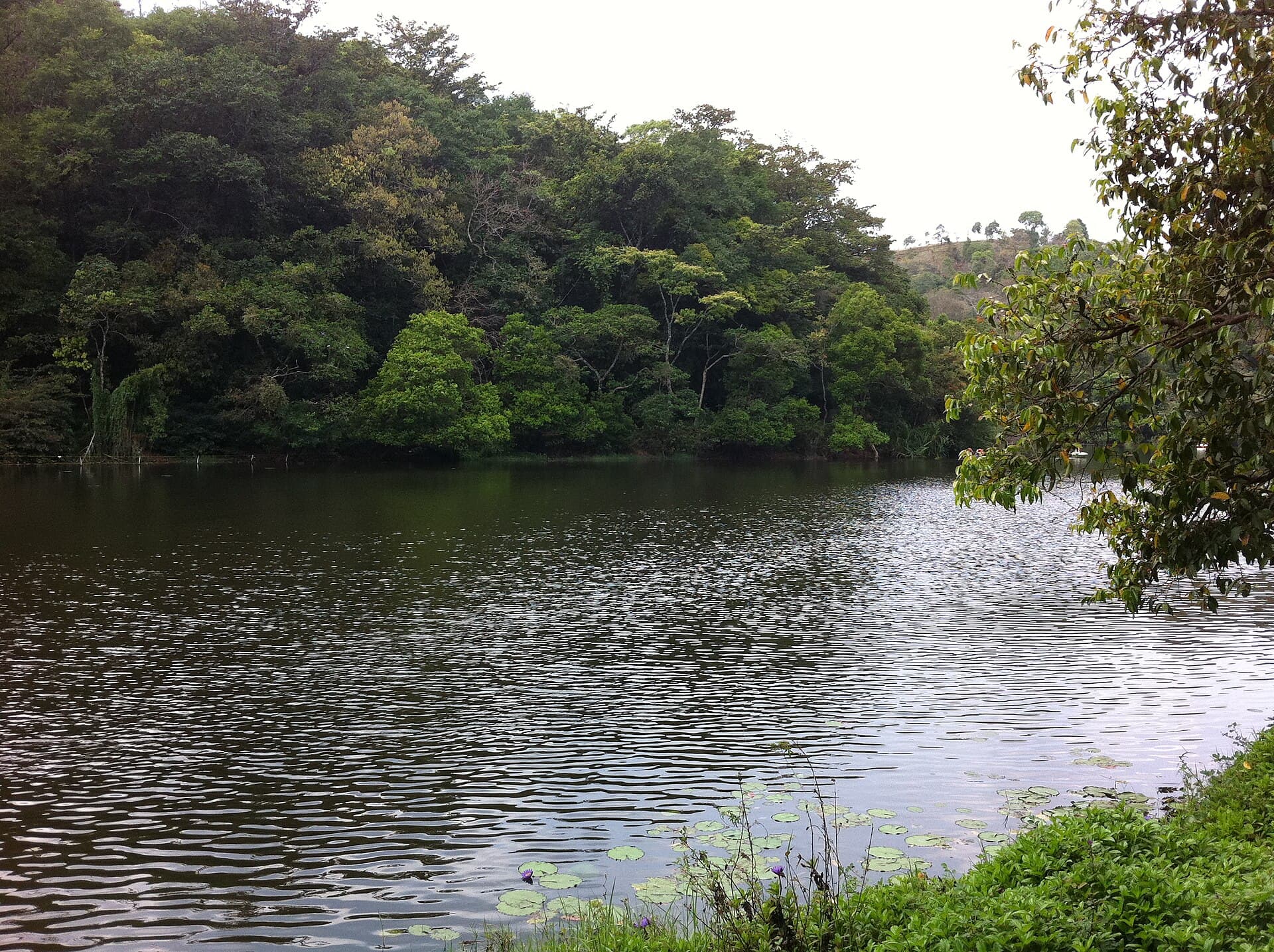 Wayanad · 2-Day Journey
