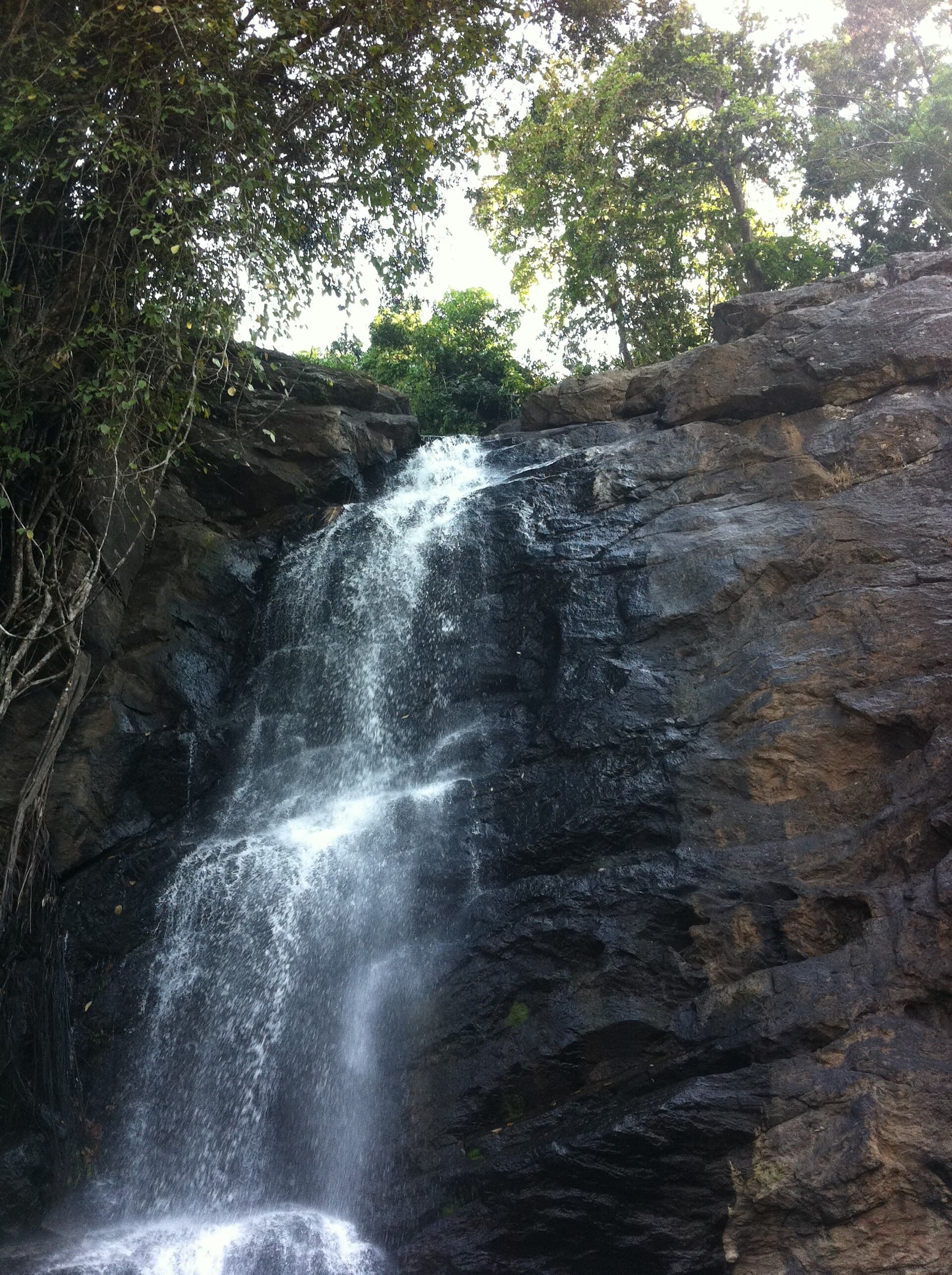 Wayanad & Coorg · 4-Day Journey