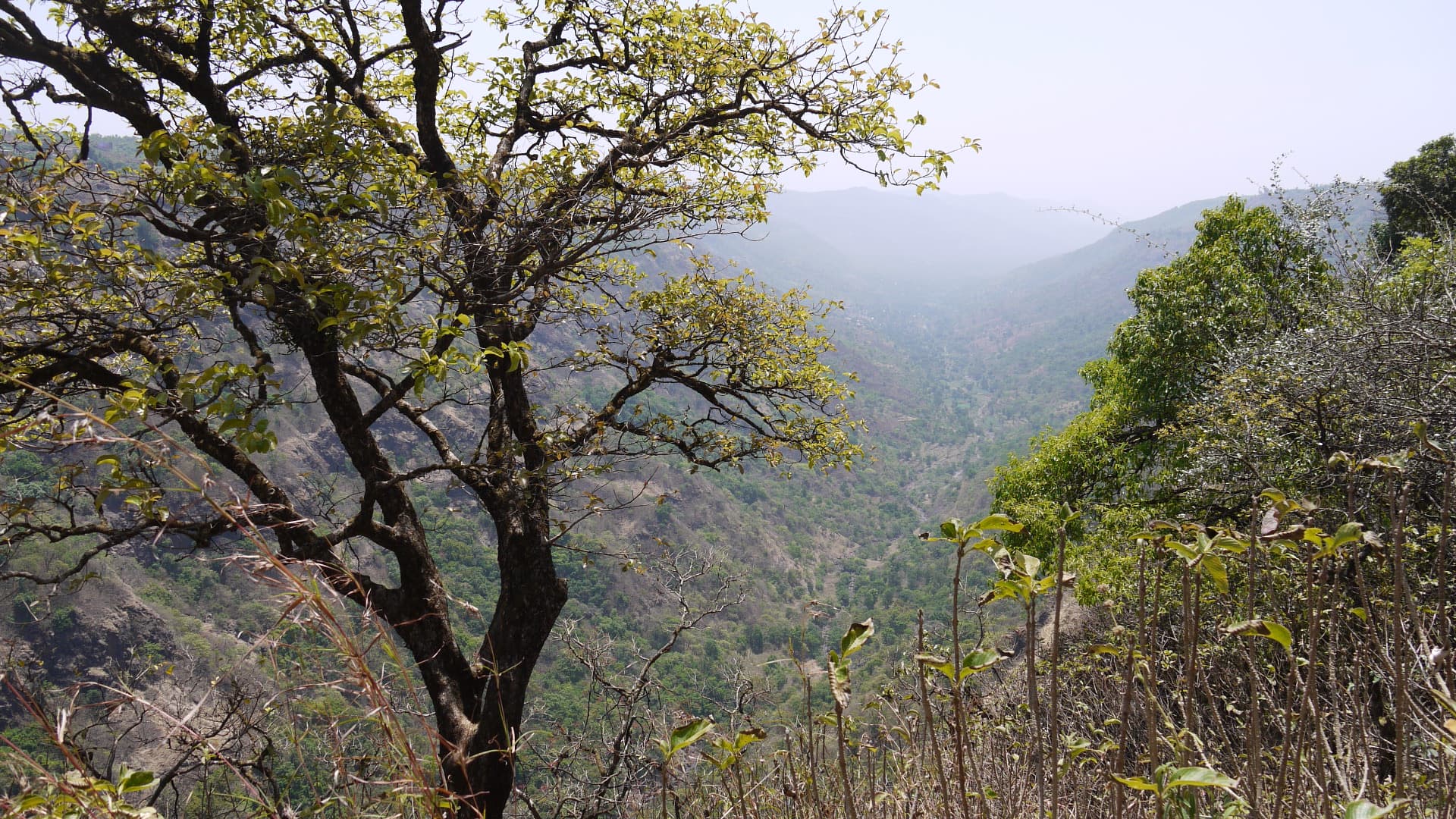 Mahabaleshwar & Alibaug With Pratapgad · 5-Day Journey