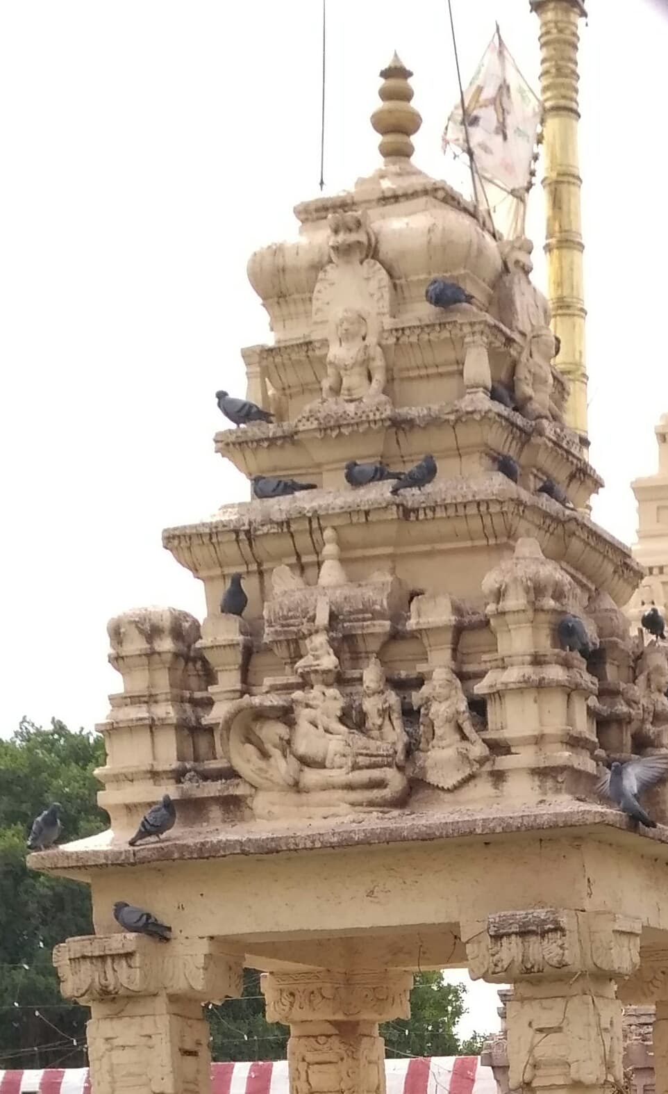 Srisailam - Pacherla Jungle Camp · 3-Day Journey