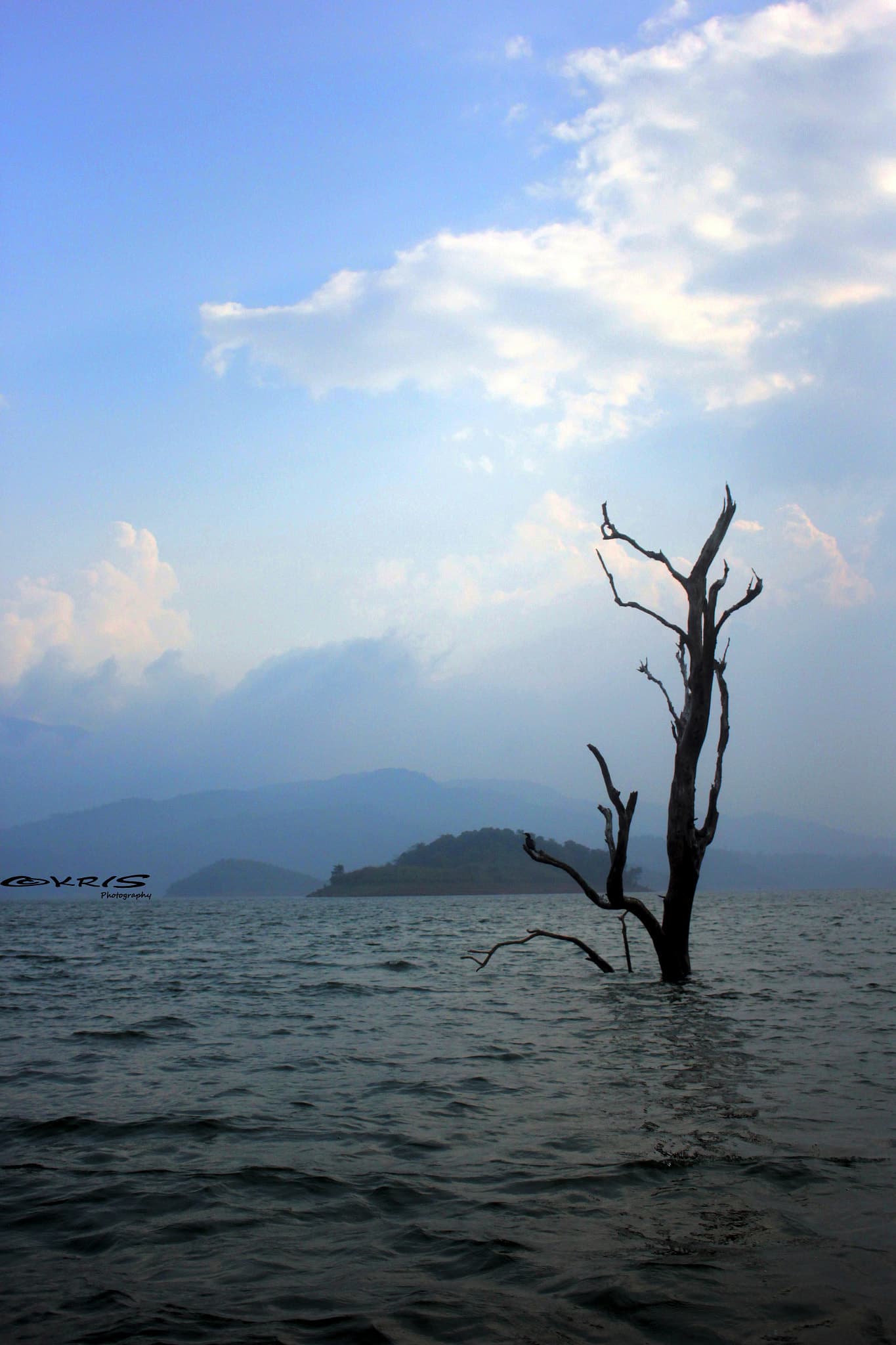 Ooty - Wayanad - Nagarhole · 6-Day Journey