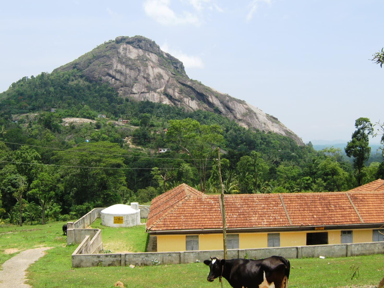 Wayanad With Nagarhole · 3-Day Journey