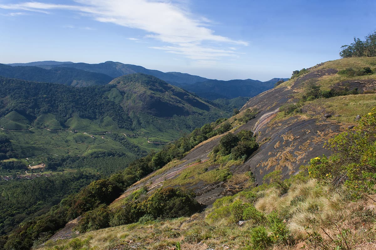 Kerala (Munnar - Thekkady - Alleppey) · 4-Day Journey