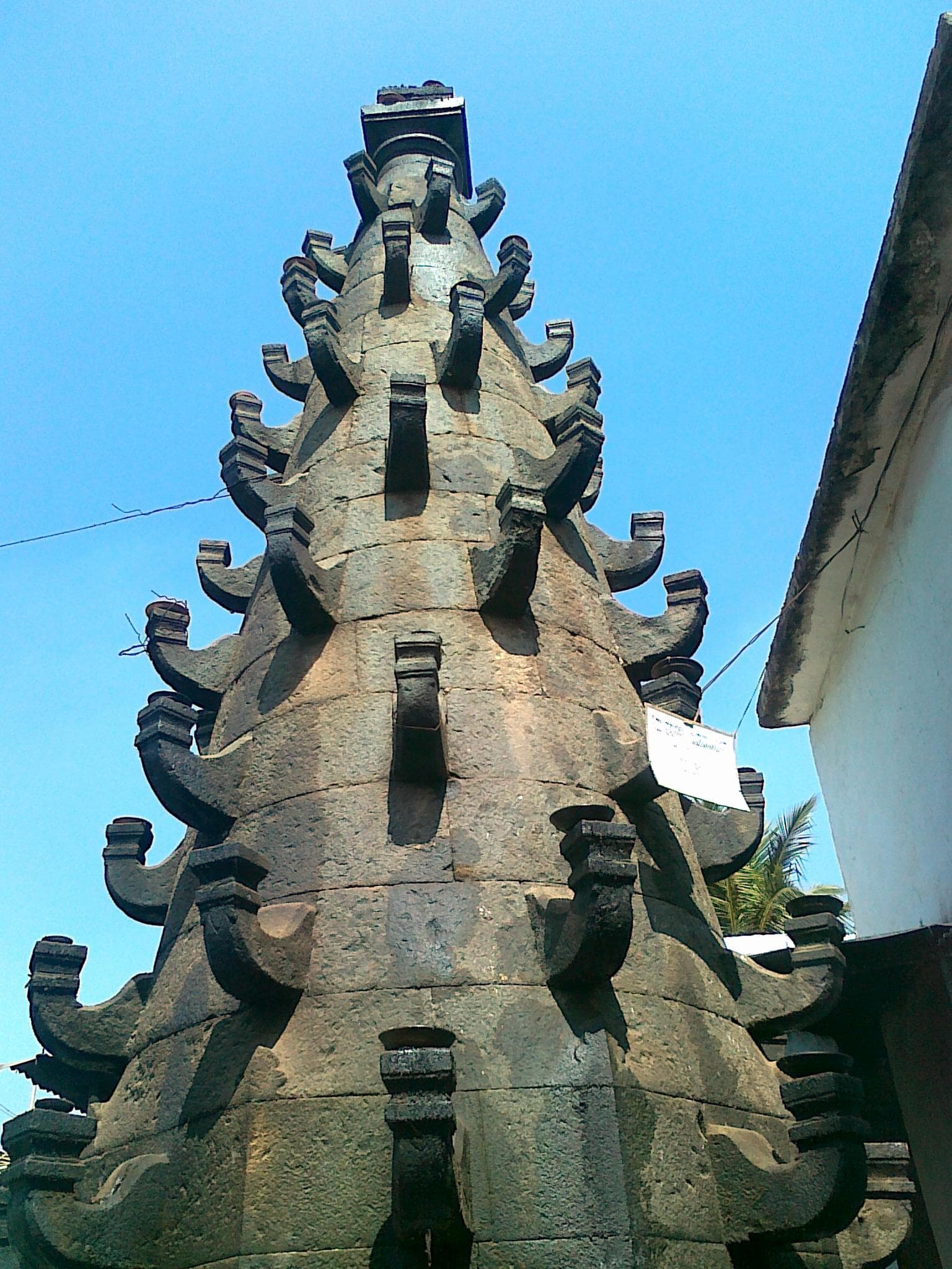Mysore, Coorg & Bangalore Leisure Tour · 8-Day Journey