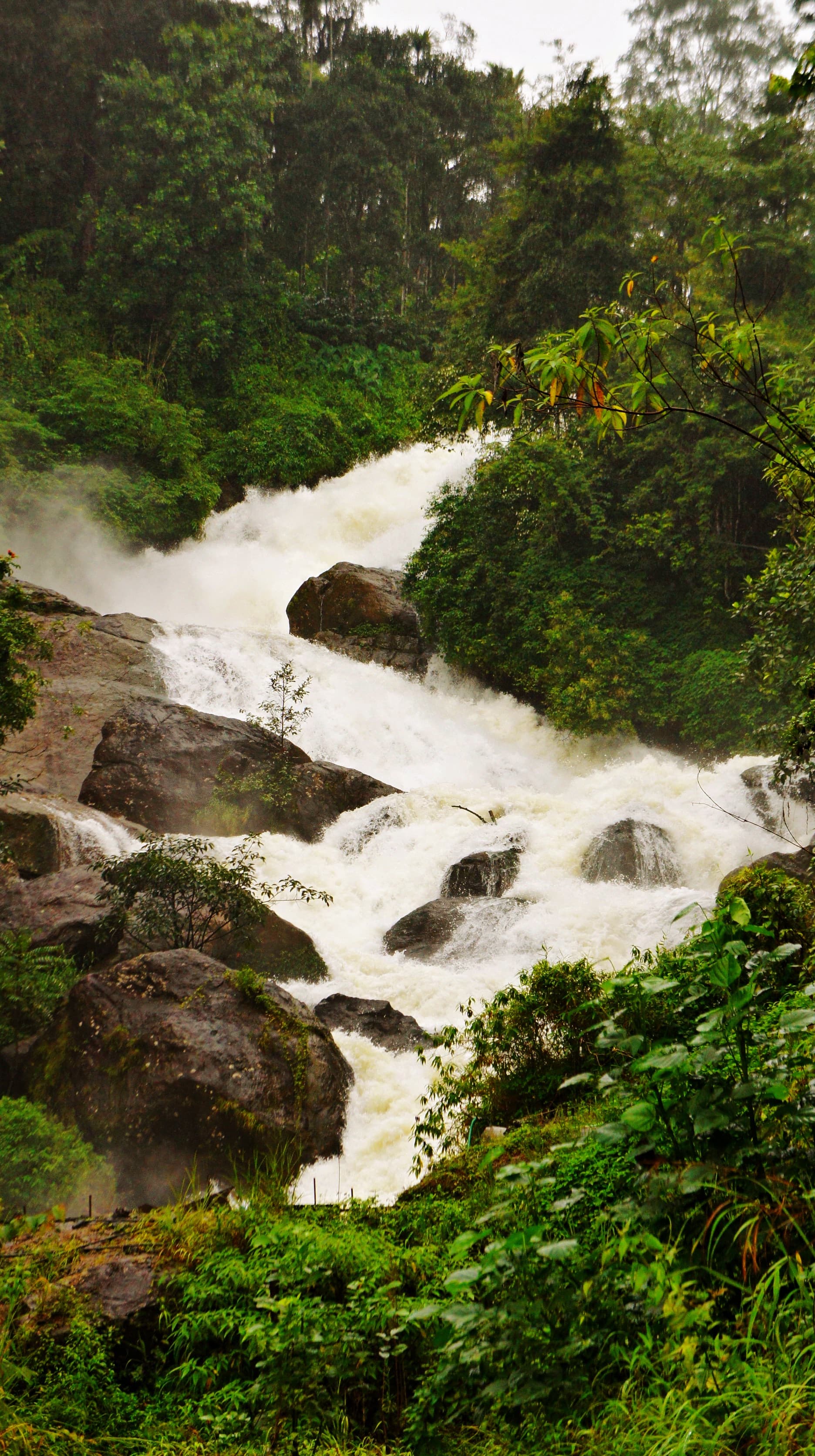 Munnar - Thekkady - Vagamon · 4-Day Journey