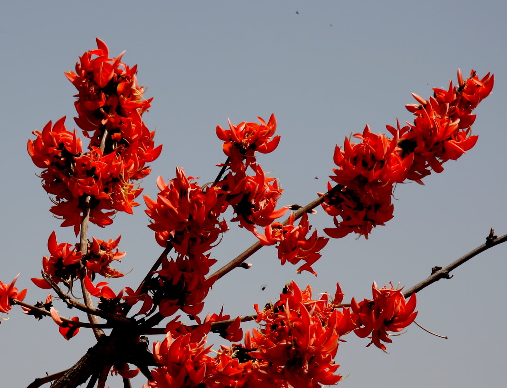 Udaipur With Chittorgarh · 3-Day Journey